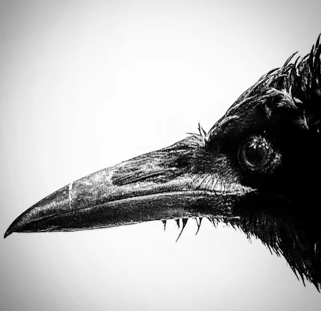 Whispers of the Raven: A Monochrome Portrait of Mystery and Intrigue