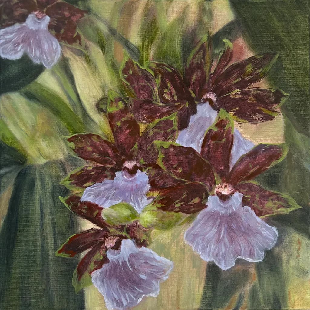 Vibrant Orchids: A Dance of Nature's Elegance in Bloom