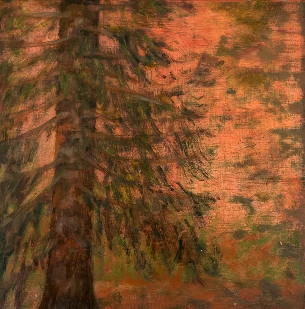 Autumn Pine