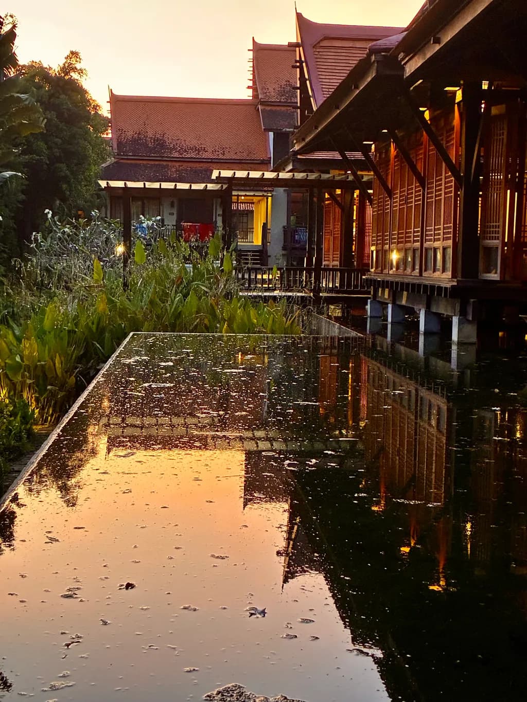Golden Reflection
