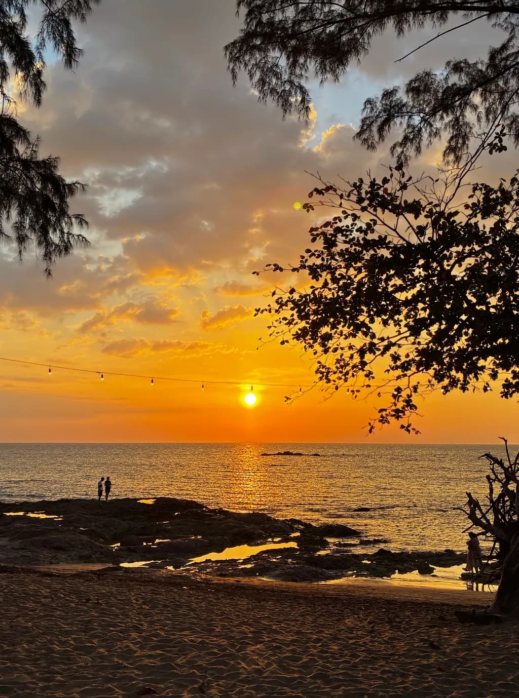Golden Shoreline Sunset