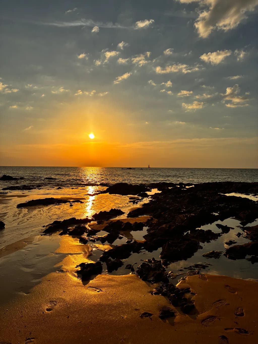 Golden Tide Calm