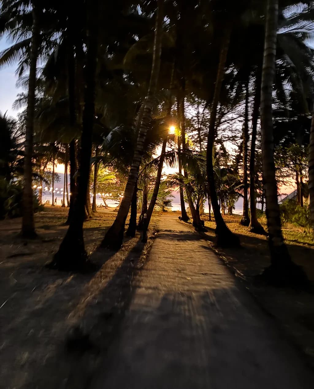 Tropical Sundown Pathway