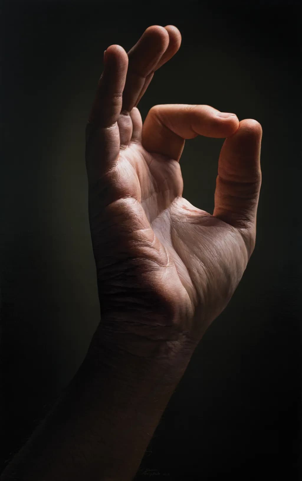 The Art of Gesture: A Study in Human Expression and Form