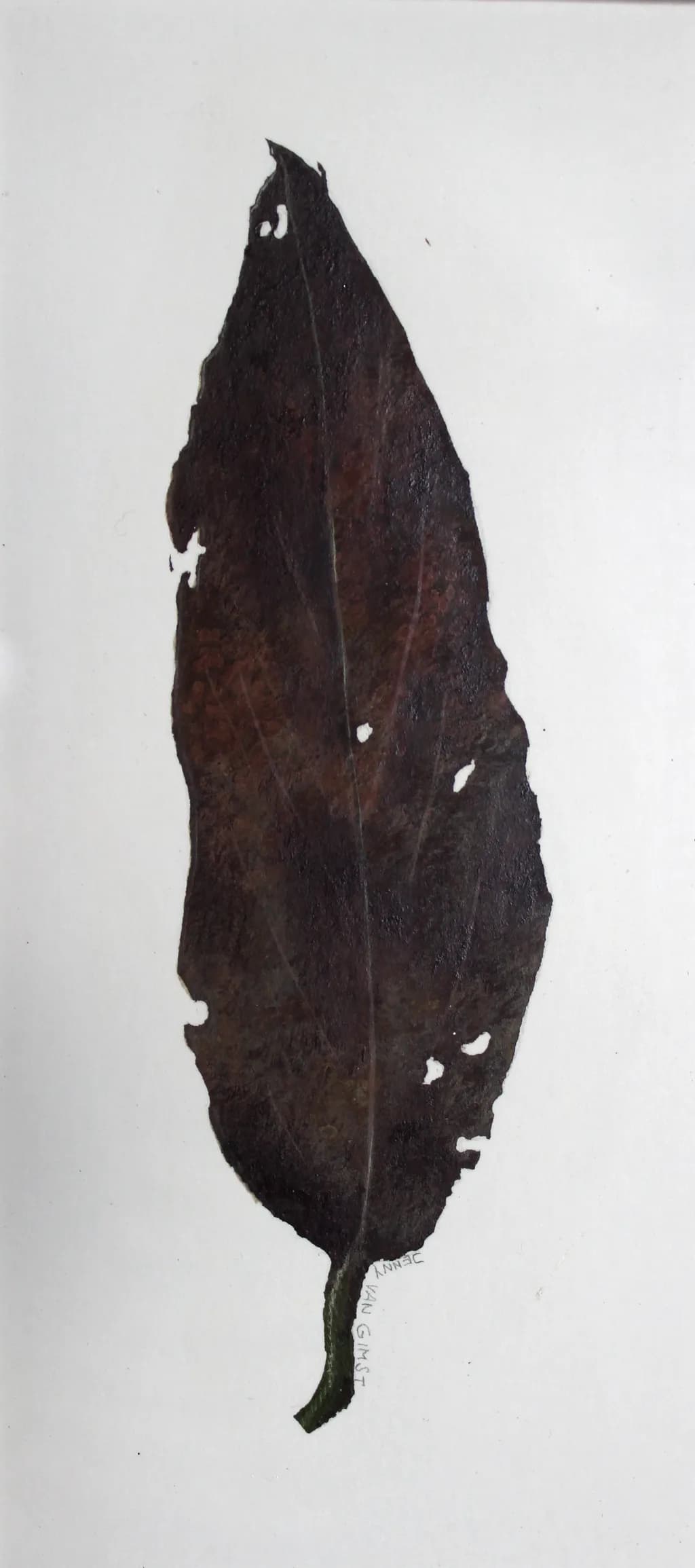 Decay Leaf