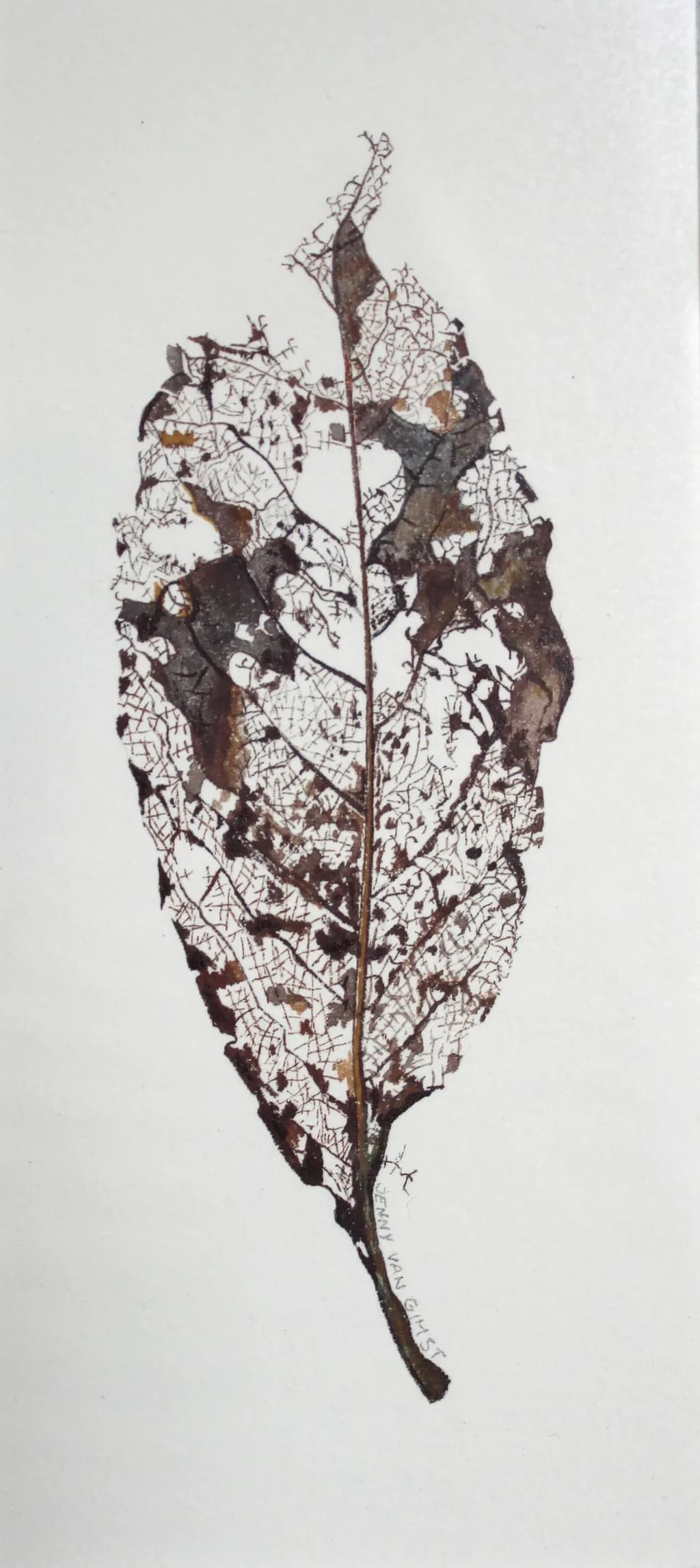 Decay Leaf