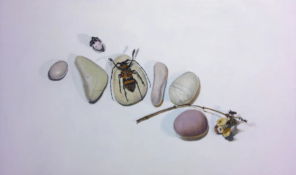 Pebbles and Insects Arrangement