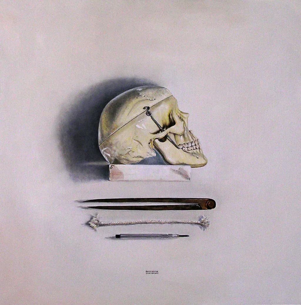 Diogenes Skull Study
