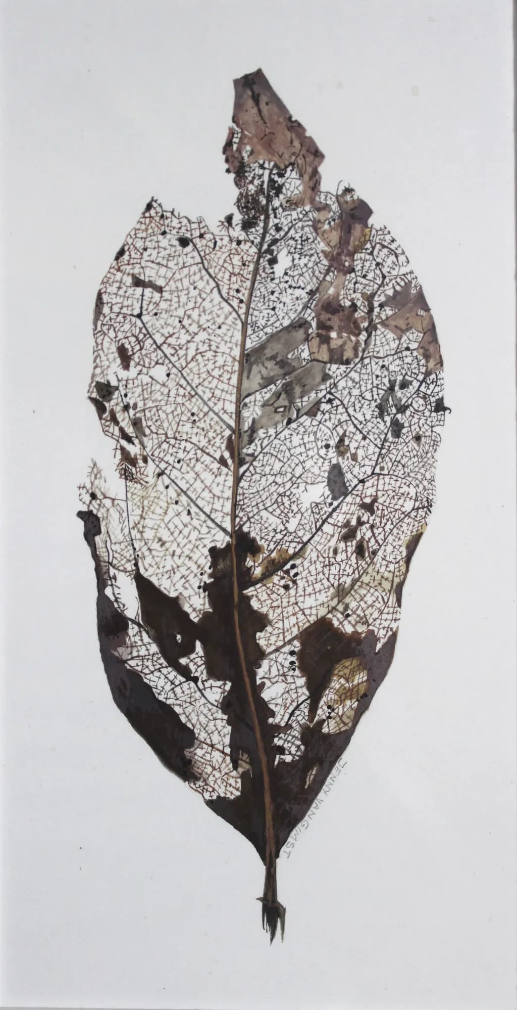 Decay Leaf 3