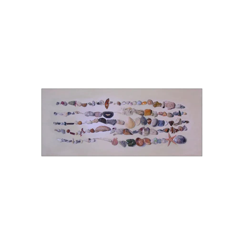 Beach Shells Collection