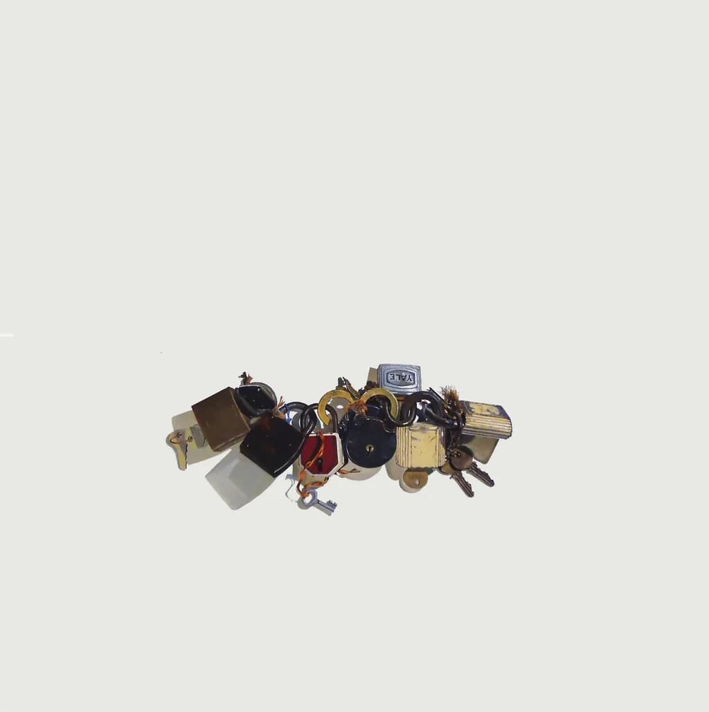 Connexa Locks