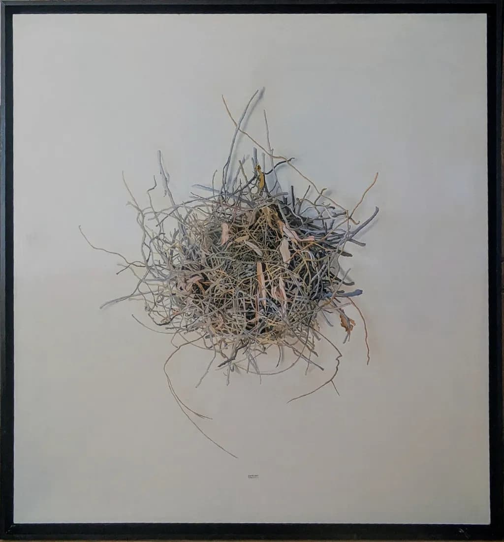 Tangled Nest