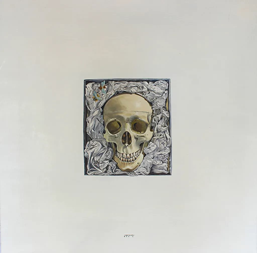 Boxed Skull