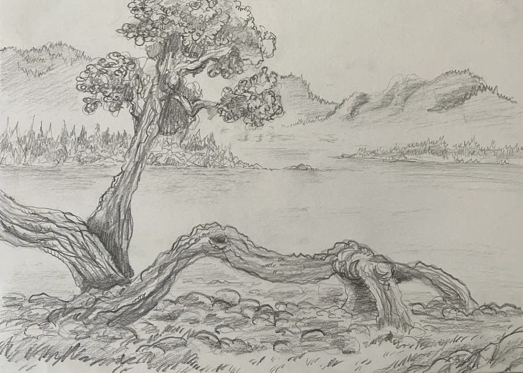 Whispers of Nature: A Serene Landscape Sketch of Trees by the Water's Edge