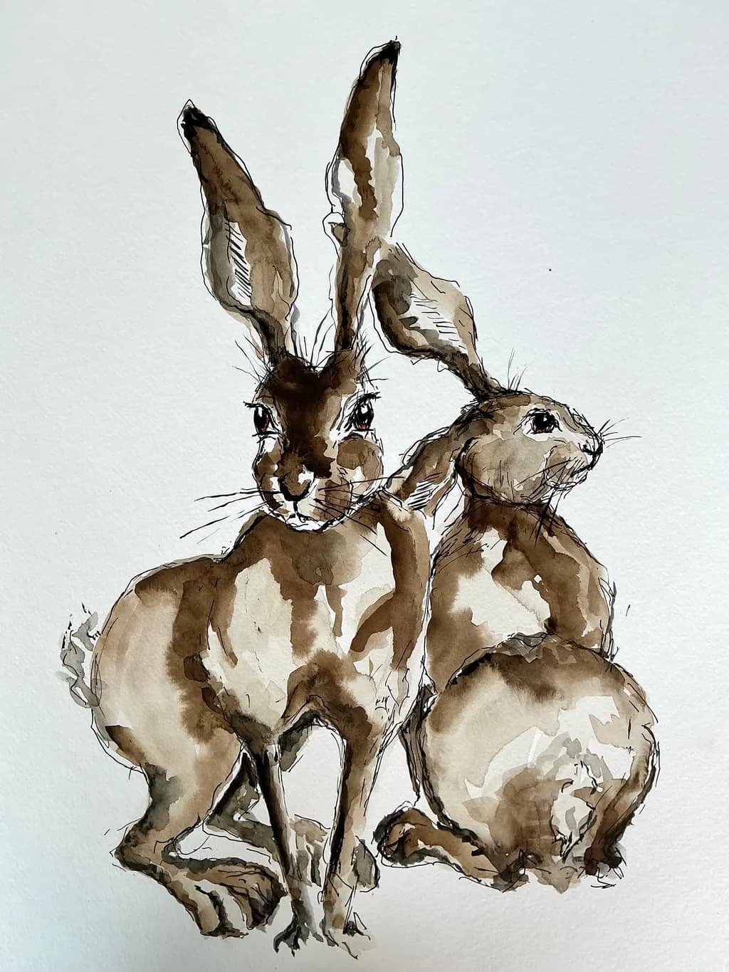 Paired Hares