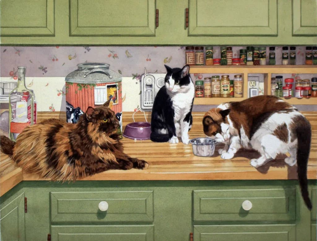 Kitty Klatch