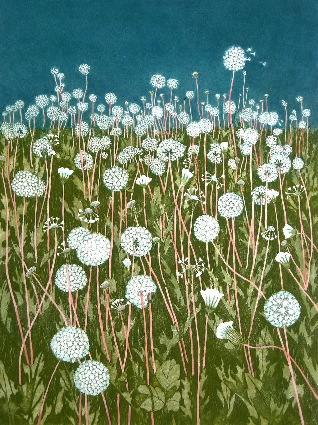 Dandelions