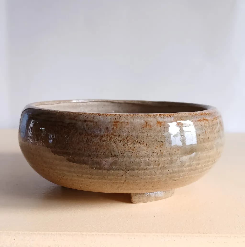 Earthen Rest Bowl