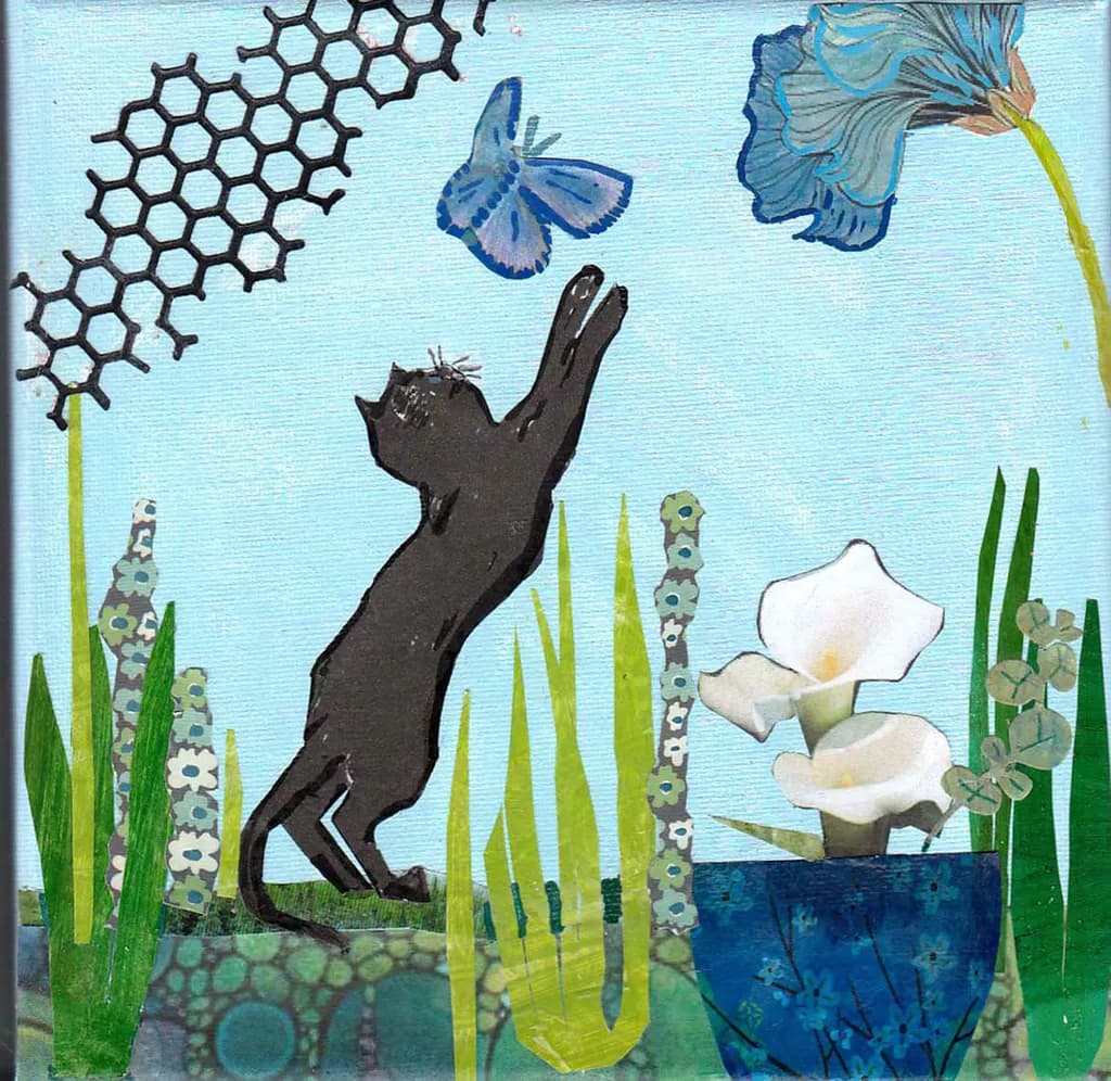 Chat Noir Reach