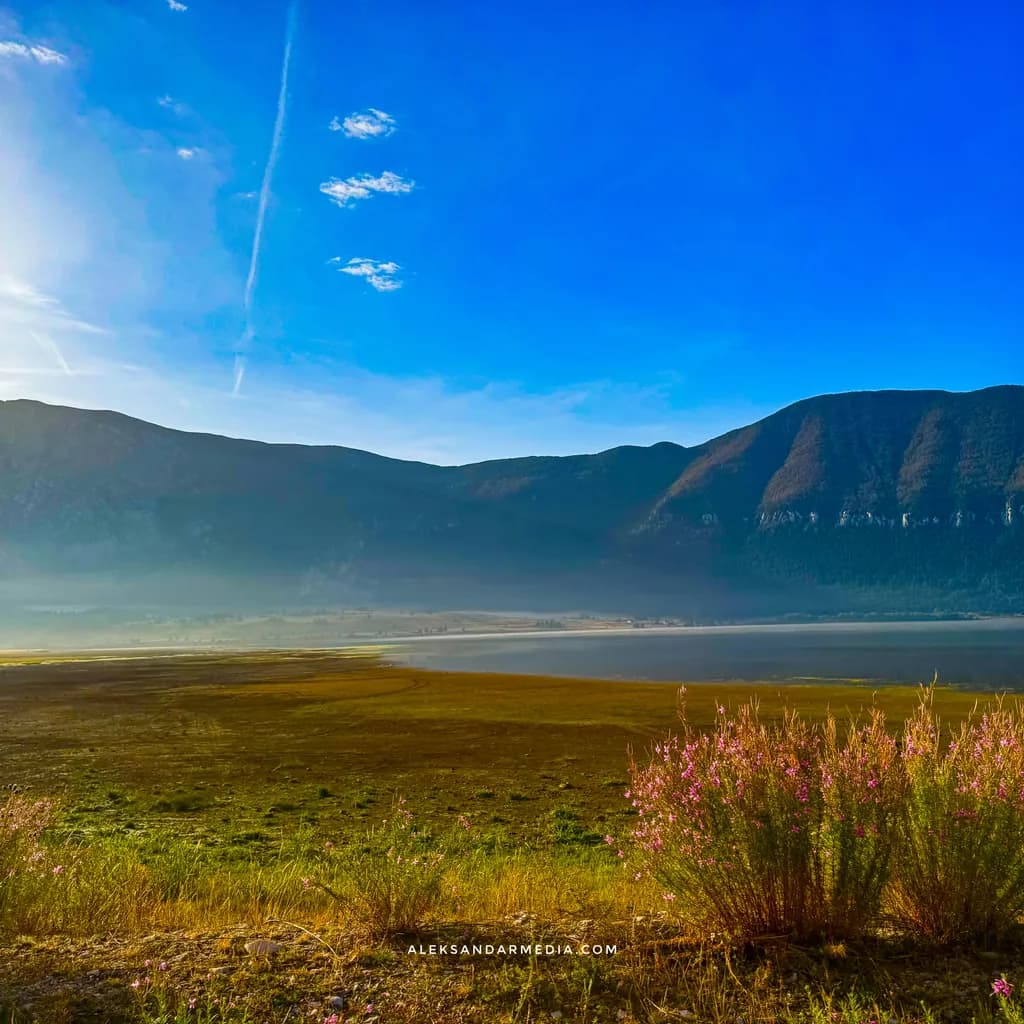 Mountain Lake Meadow