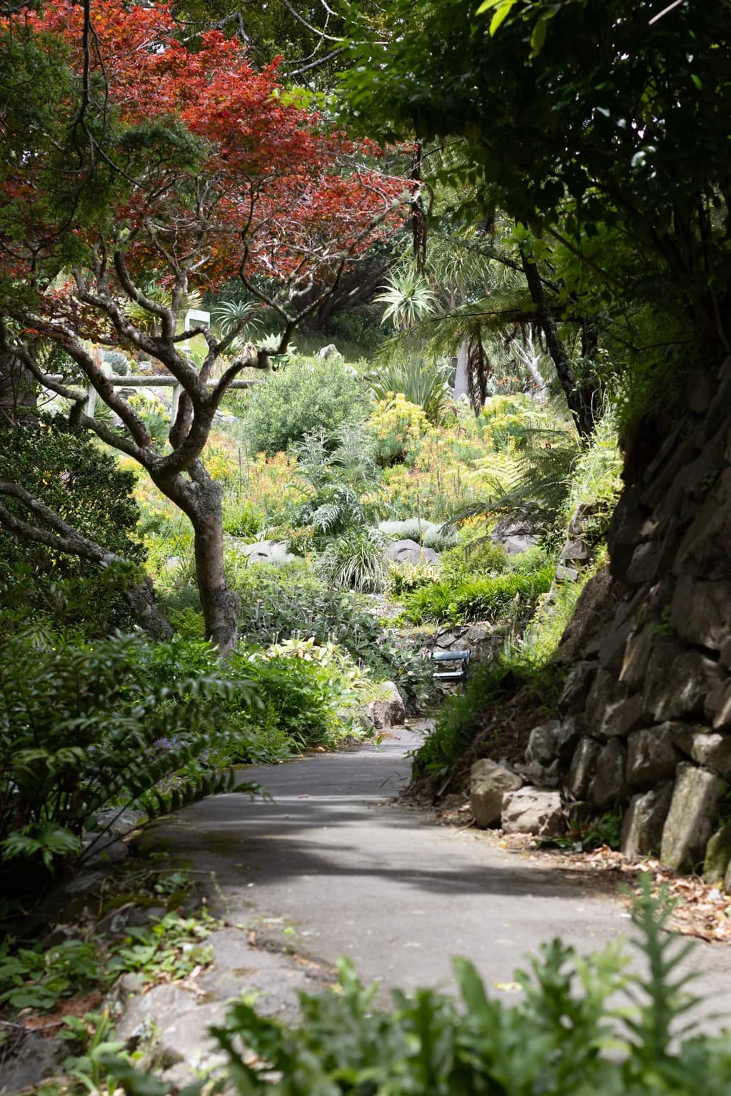 Garden Pathway