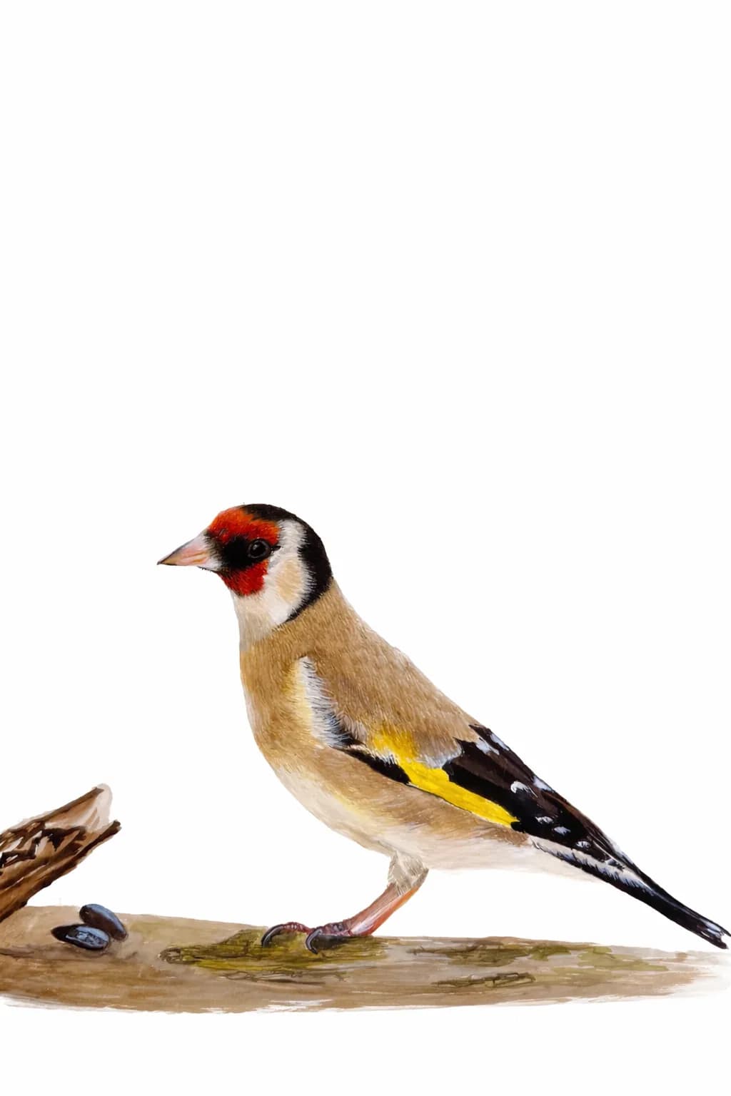 Goldfinch Profile