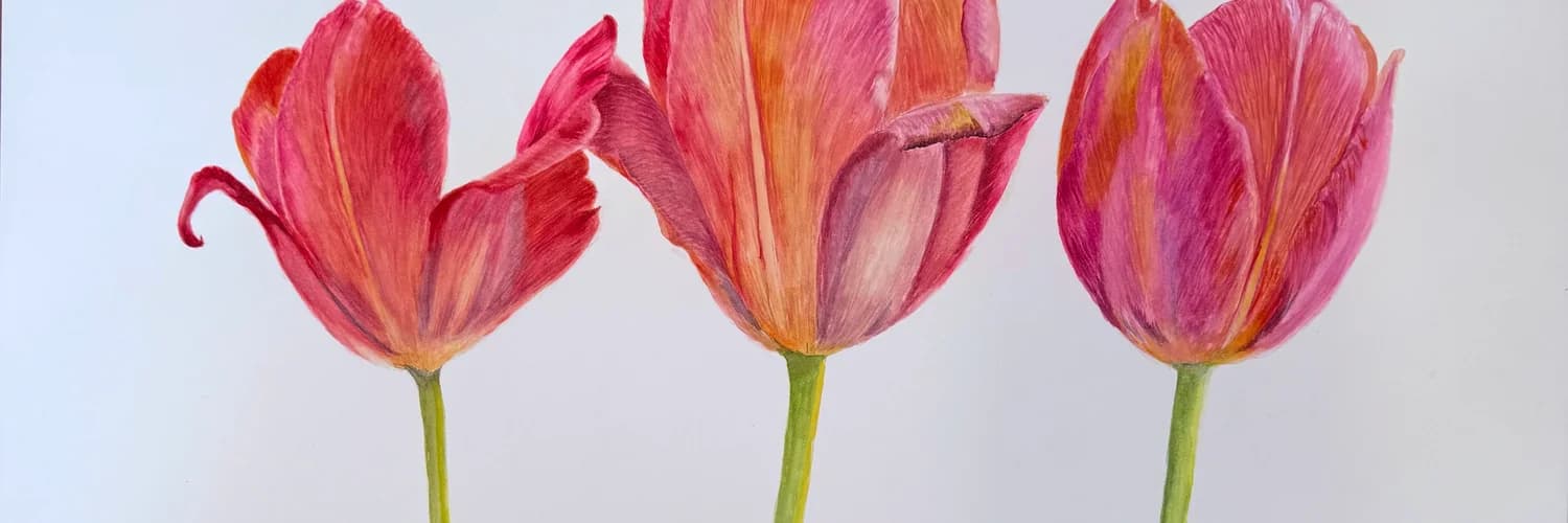 Profile banner