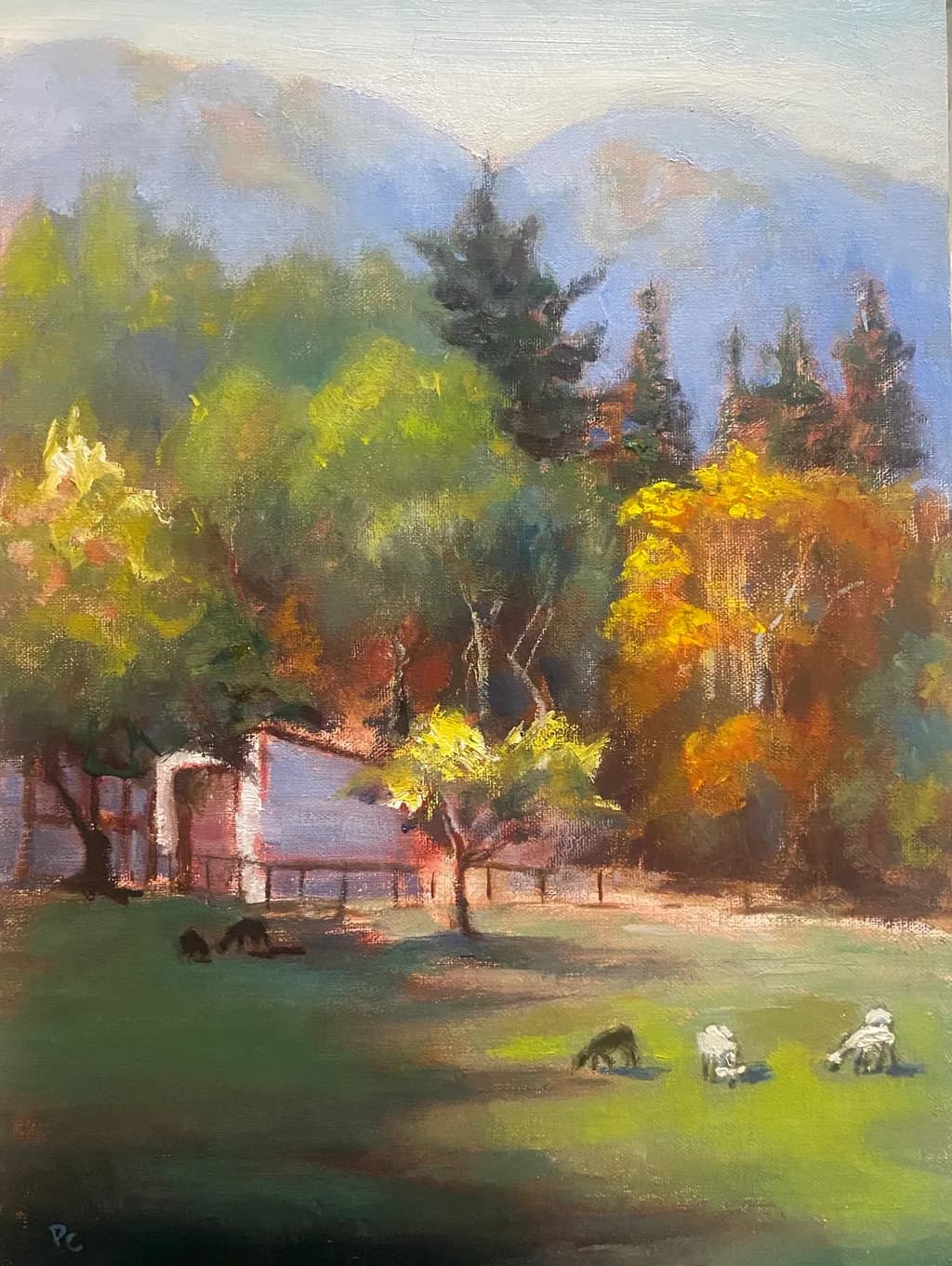 November Light