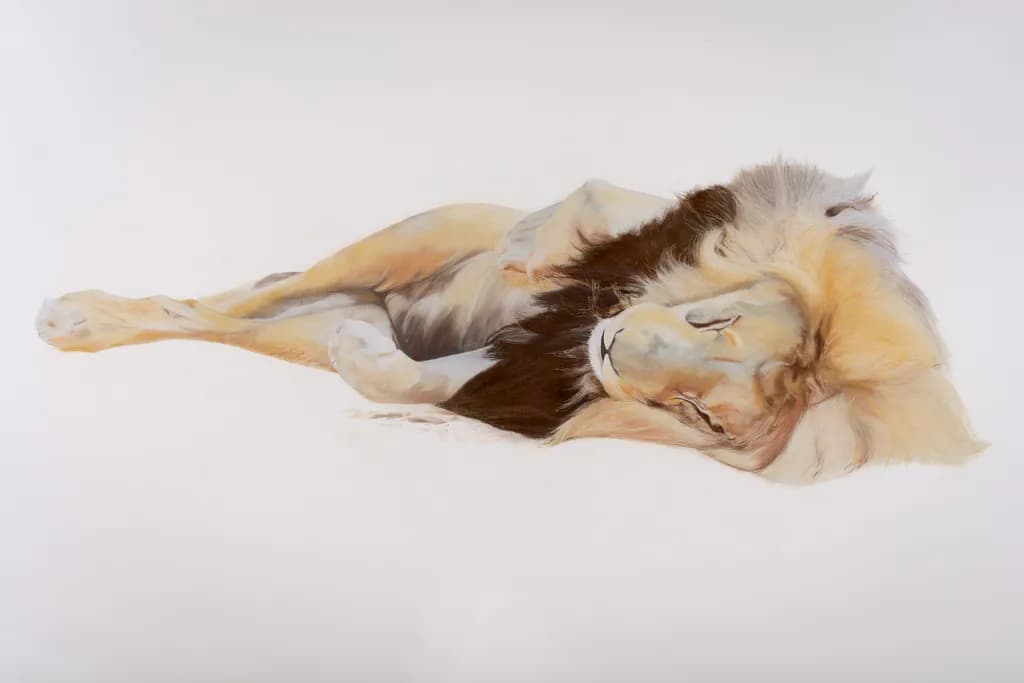 Resting Lion Majesty