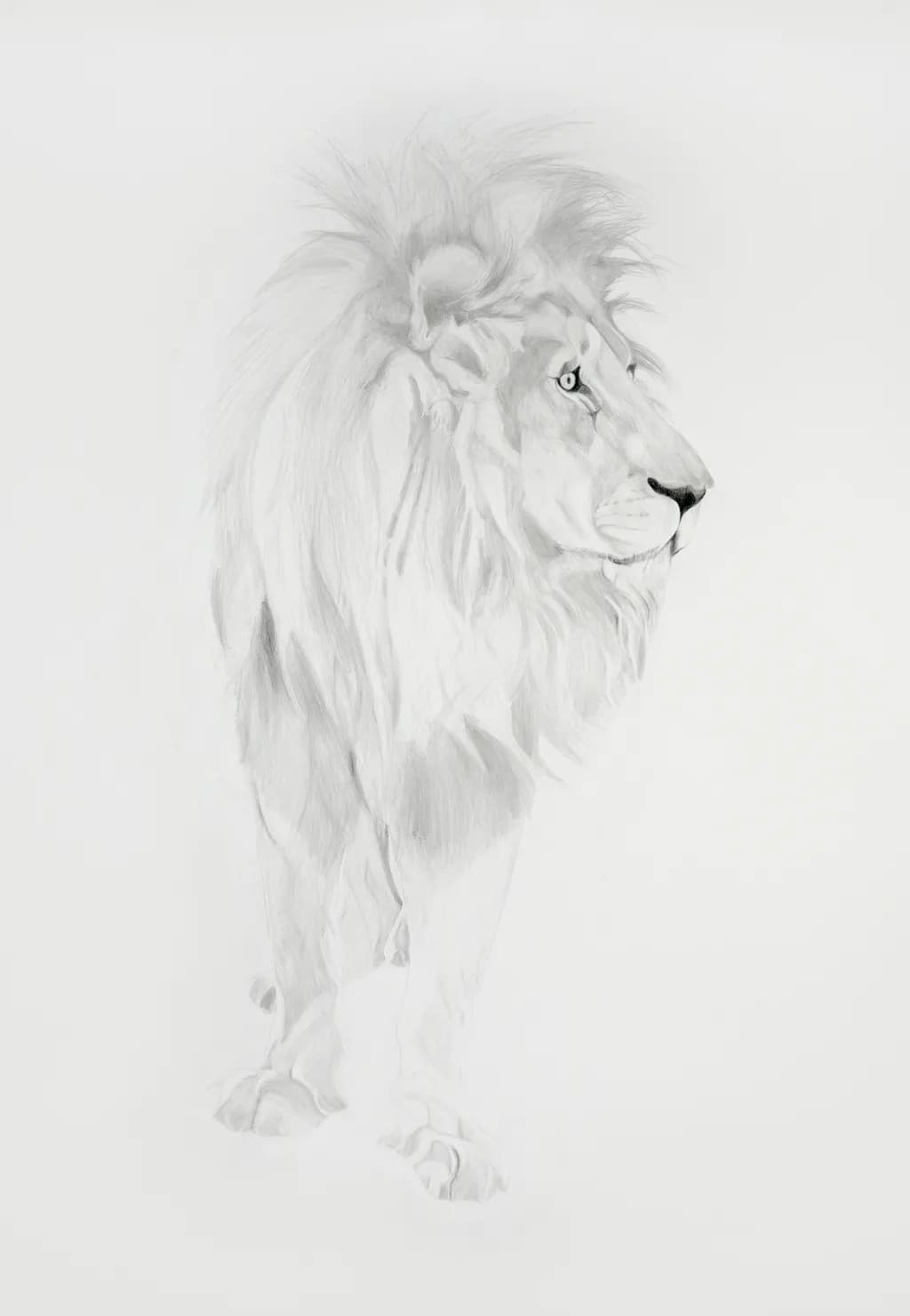 Distant Roars