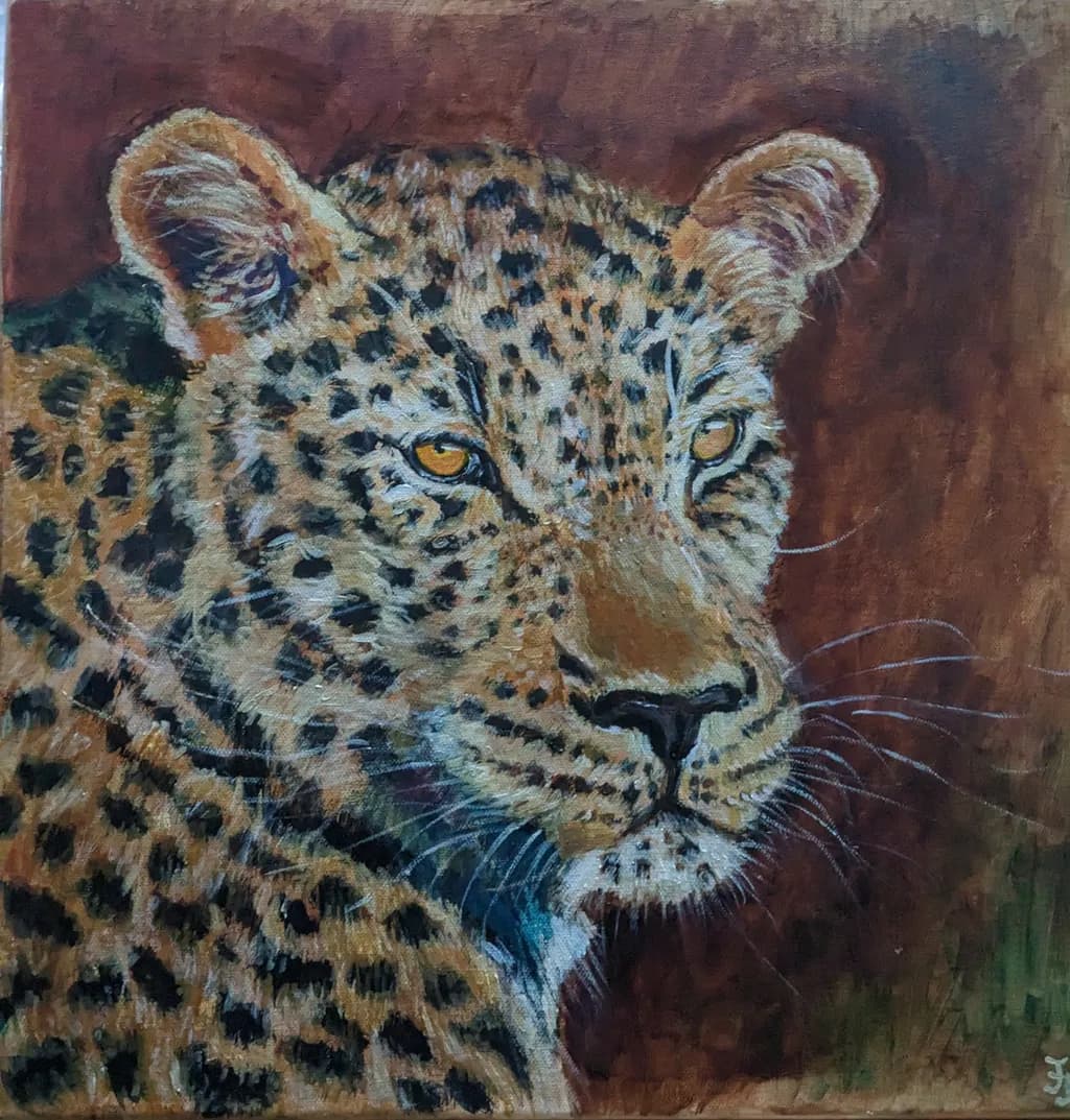 Leopard Gaze