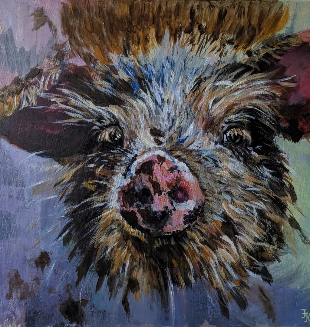 Curious Swine