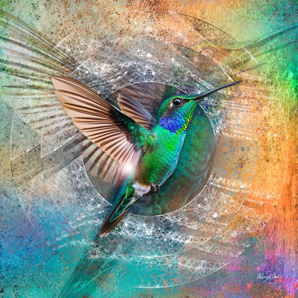Hummingbird Harmony