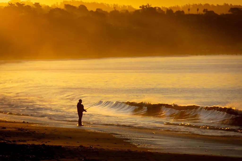 Early Light Catch
