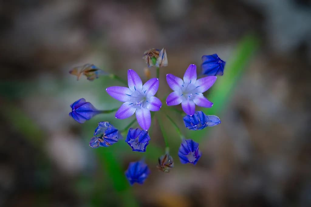 A Moment Unfolding