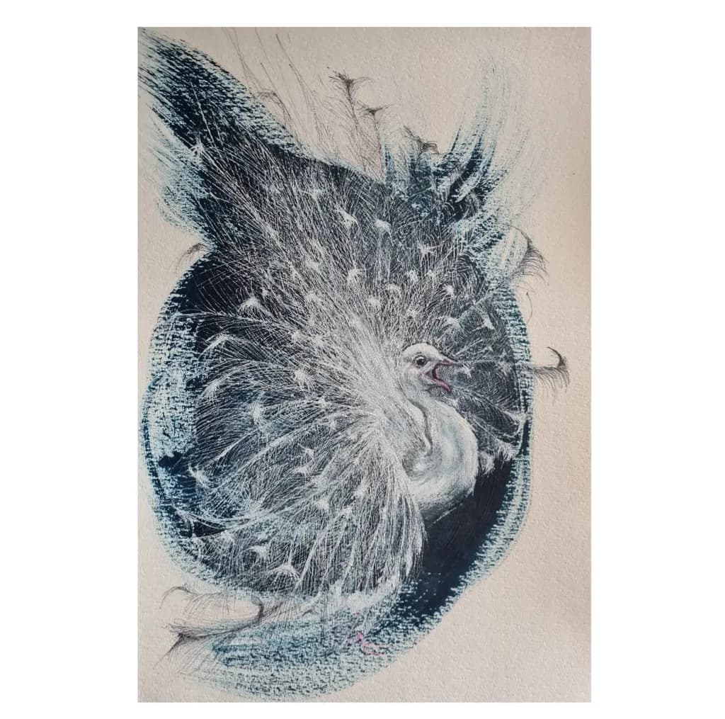 White Peacock