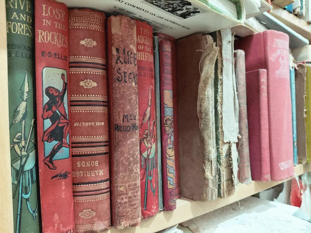 Vintage Literature Collection