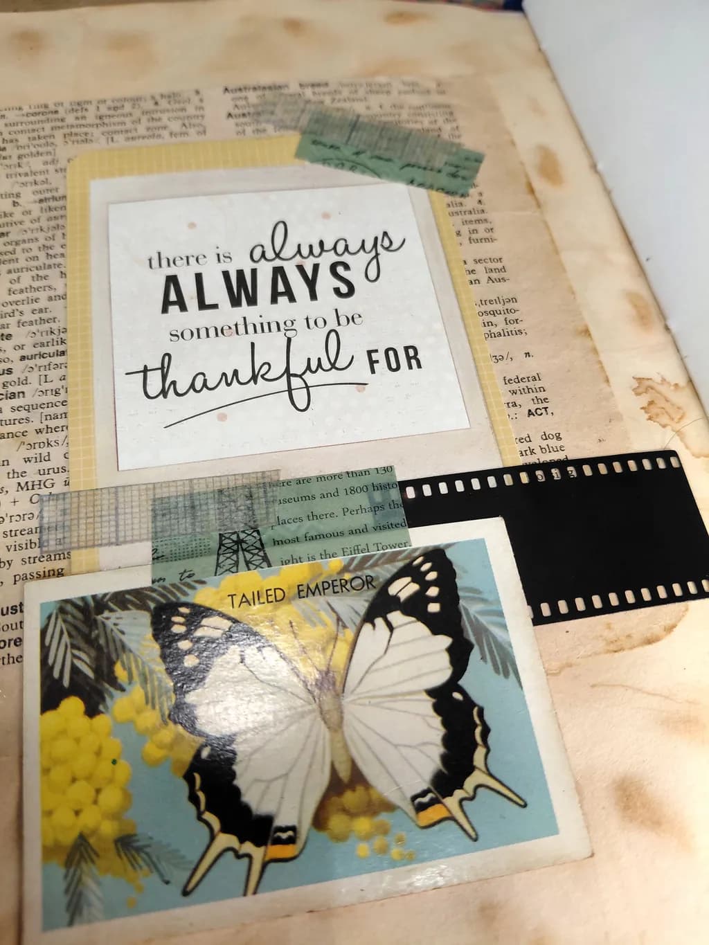 Thankful Moments