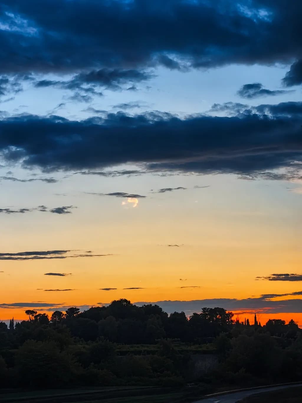 Sunset Silhouettes