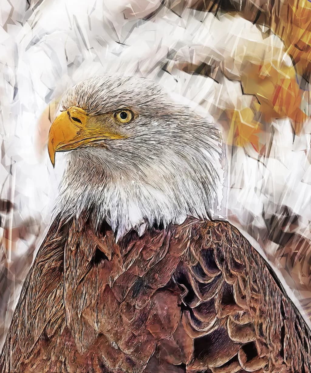 Majestic Vigil: A Contemplative Portrait of the American Bald Eagle at Dawn