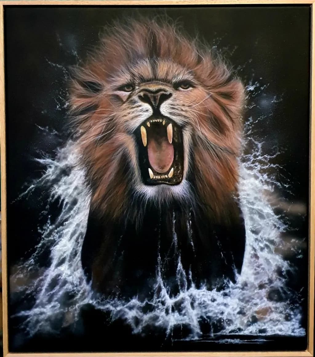 Roaring Lion Splash