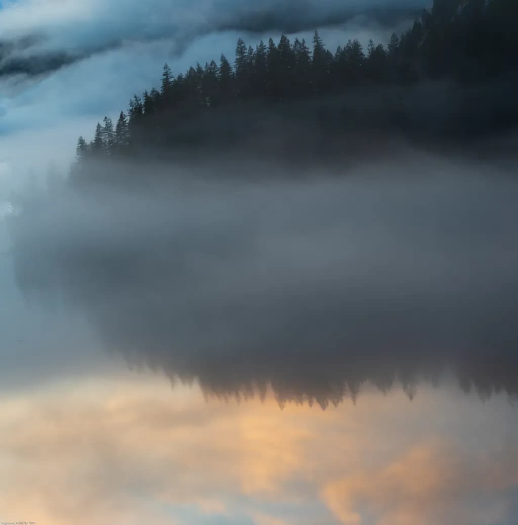 Reflective Glory