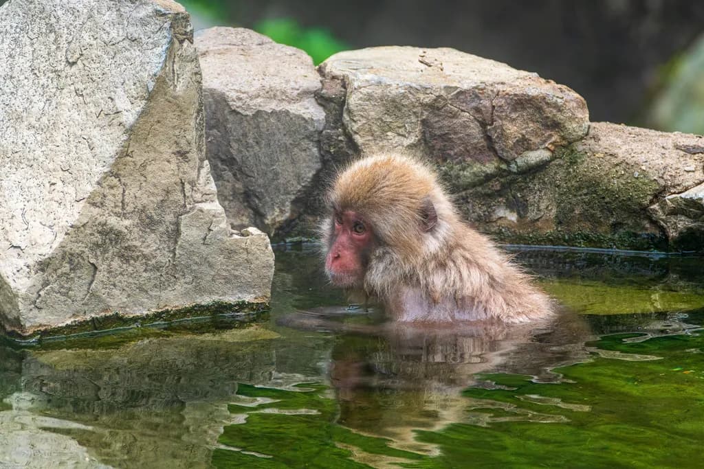 Soaking Stillness