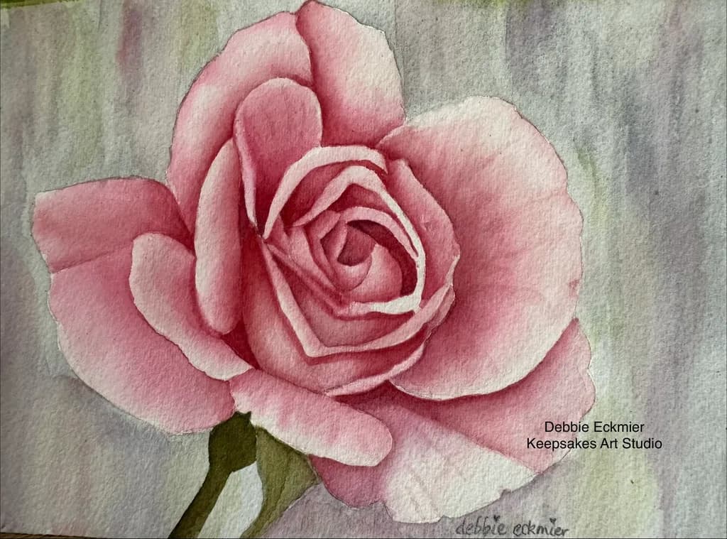 Blush Rose