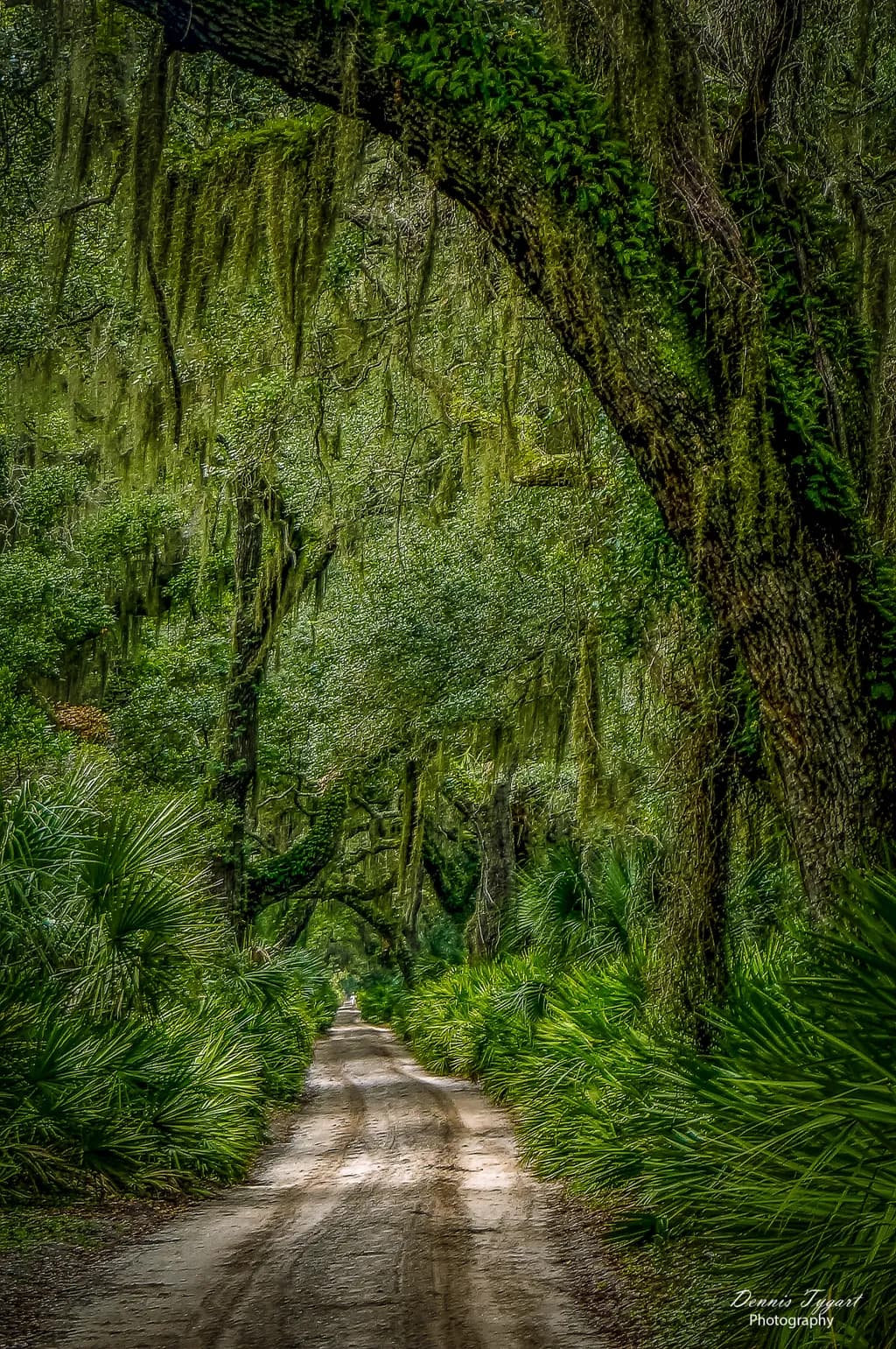 Cumberland Path