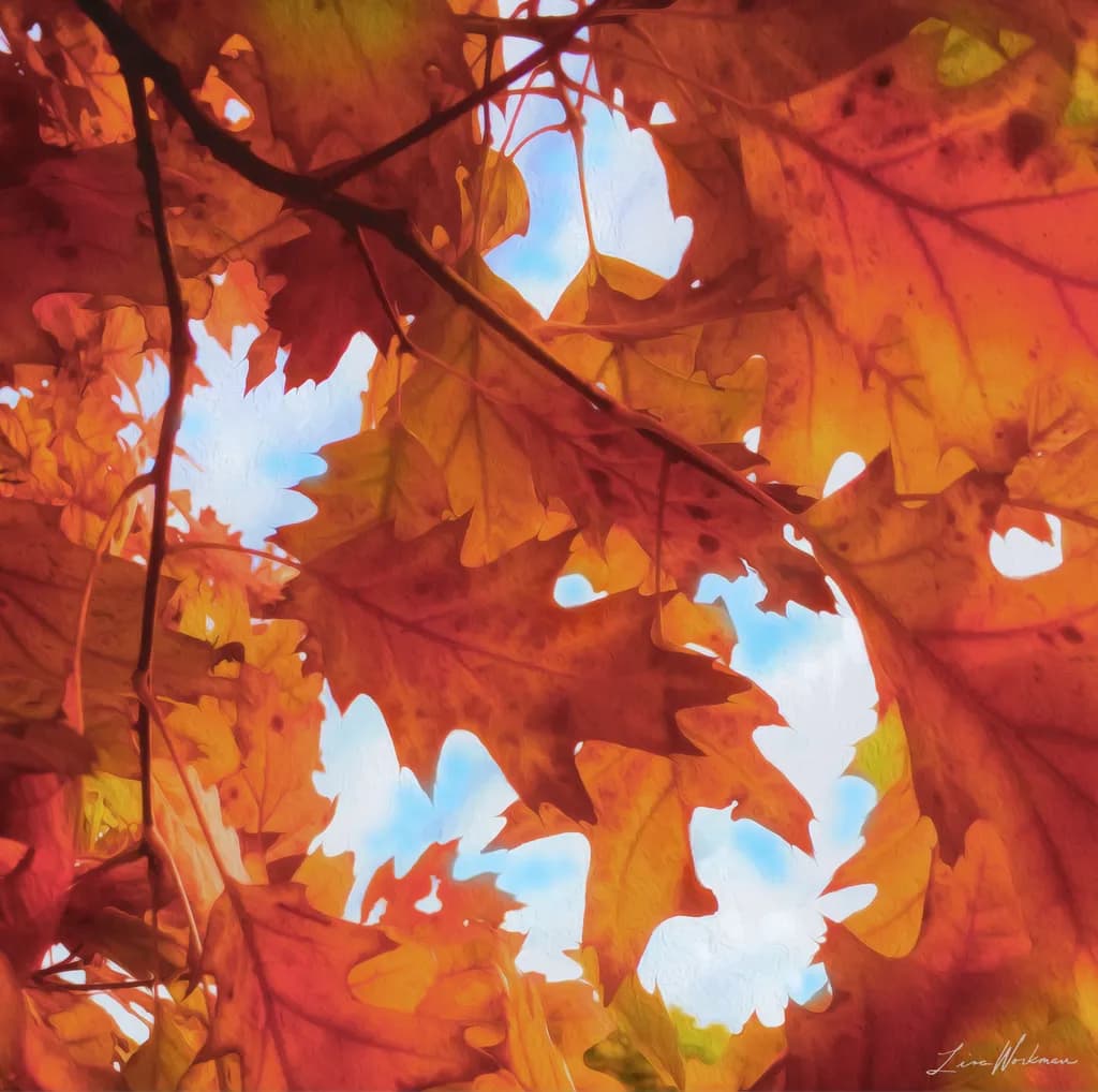 Autumn Leaf Window