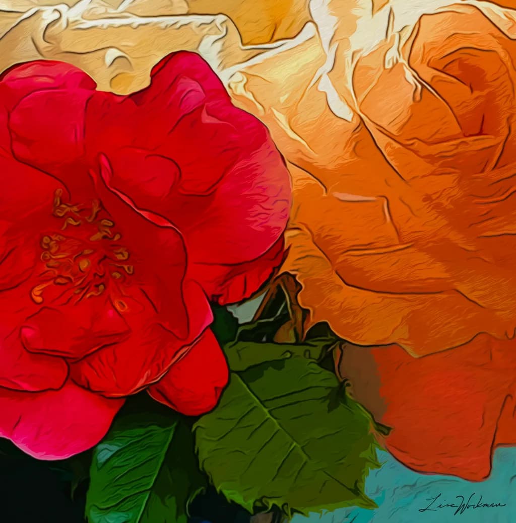Red Orange Roses