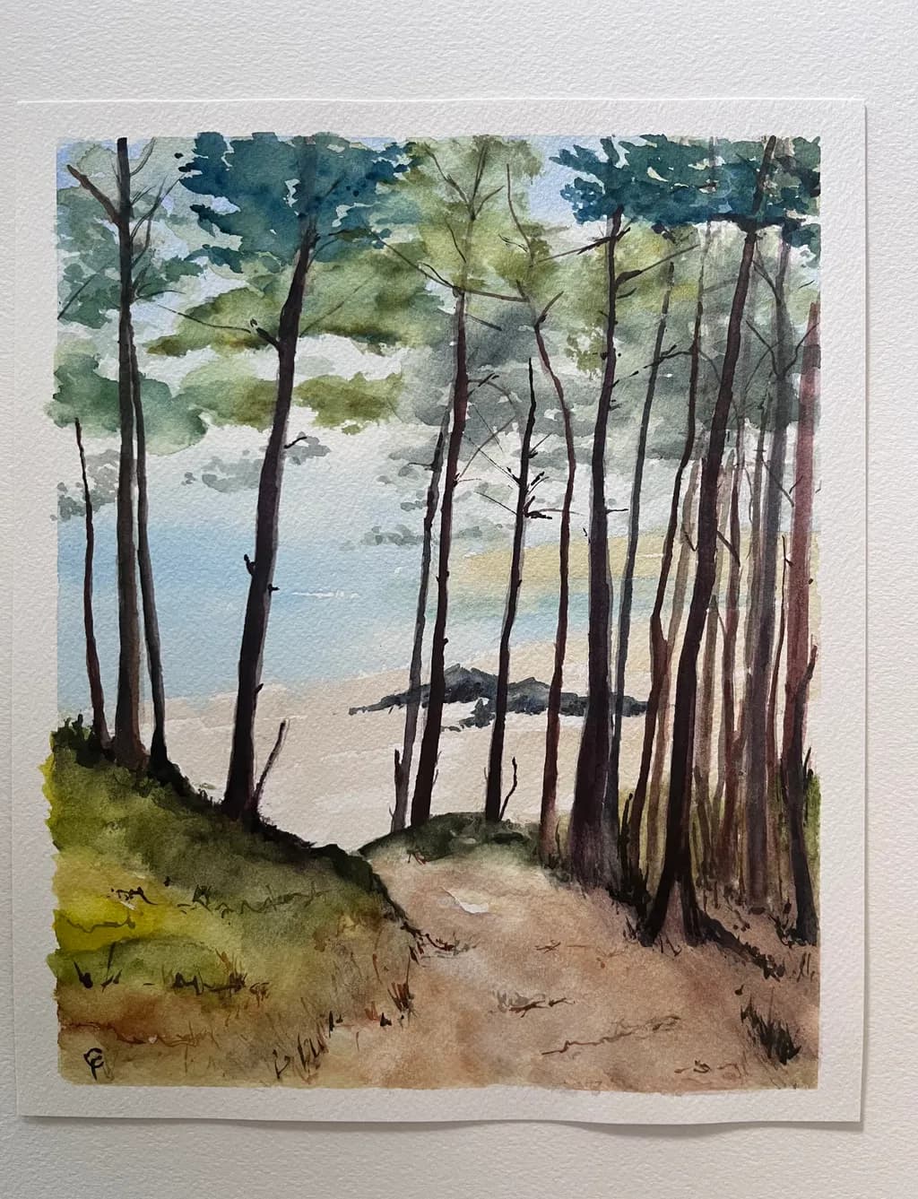 Forest Pathway