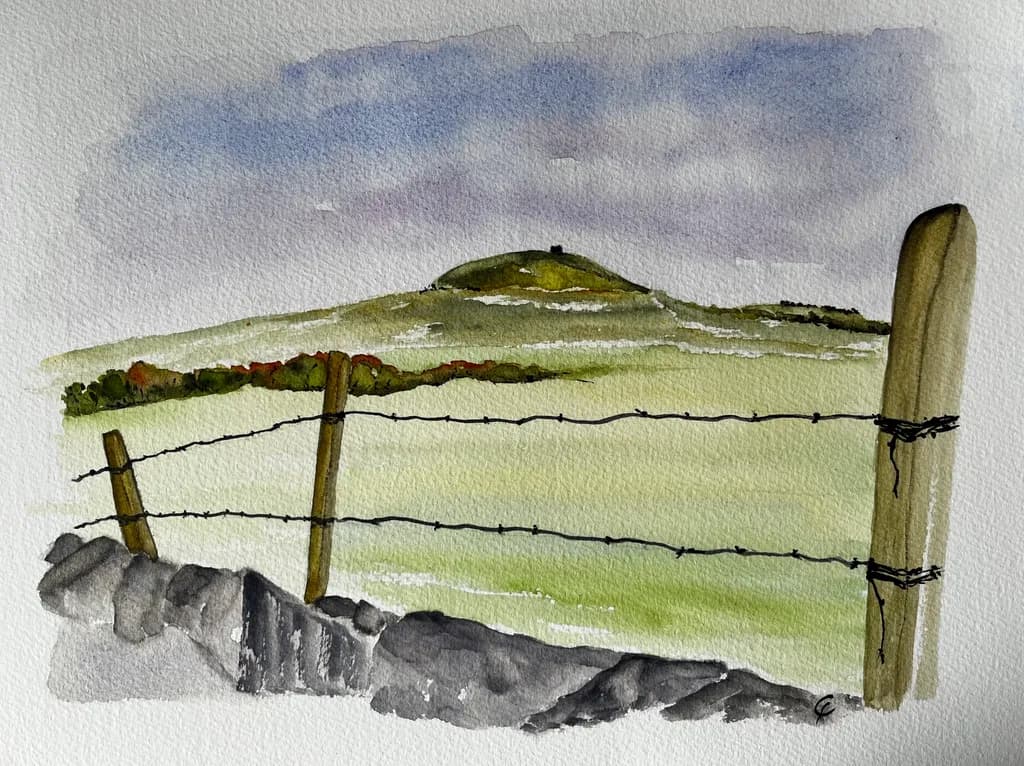 Hilltop Pasture