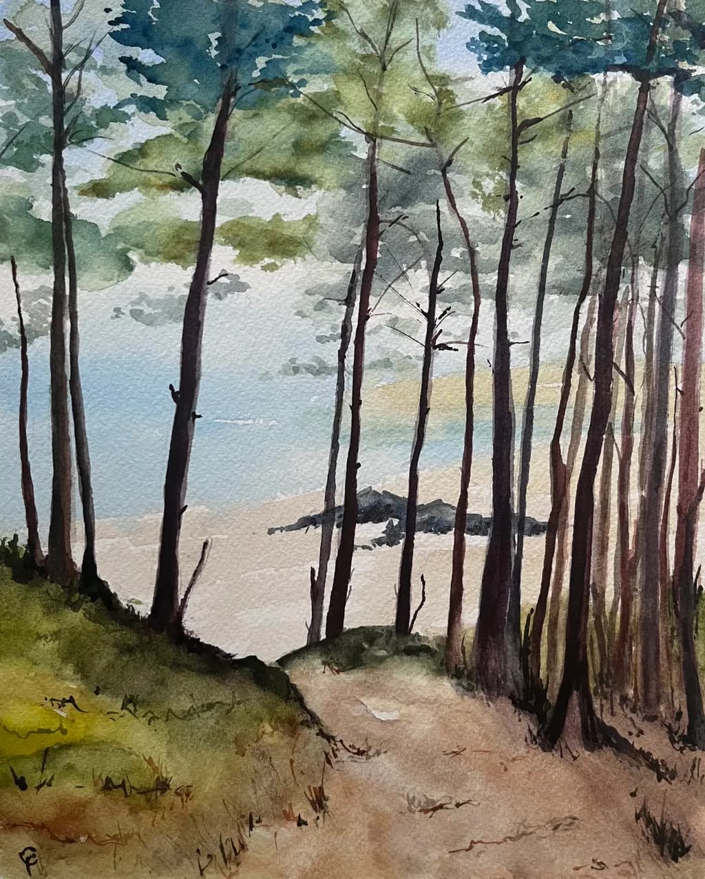 Coastal Pines Pathway